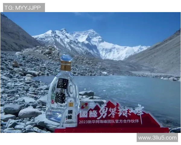 上海乒乓球队配合变革引发热议提升团队协作与竞技水平的探索之路